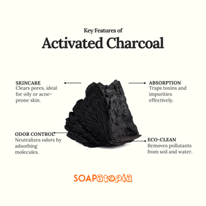 Activated Charcoal Powder
