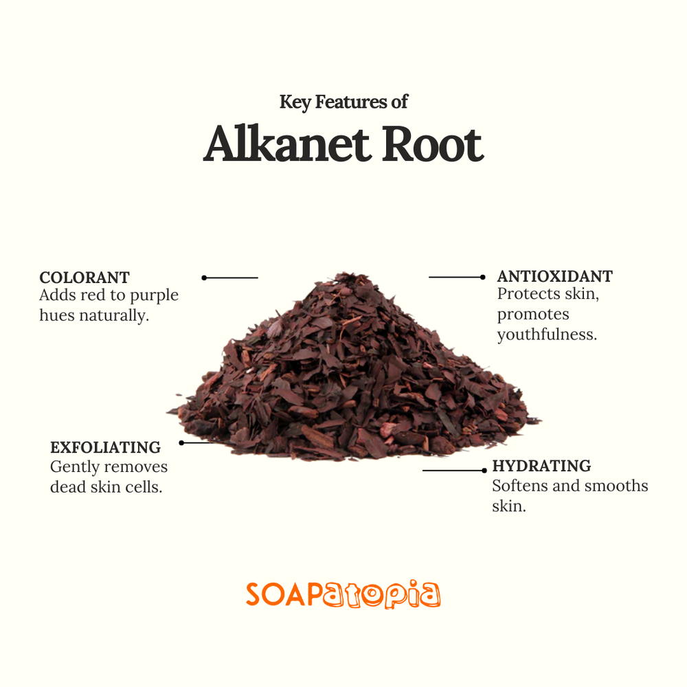 Alkanet Root