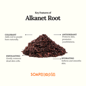 Alkanet Root