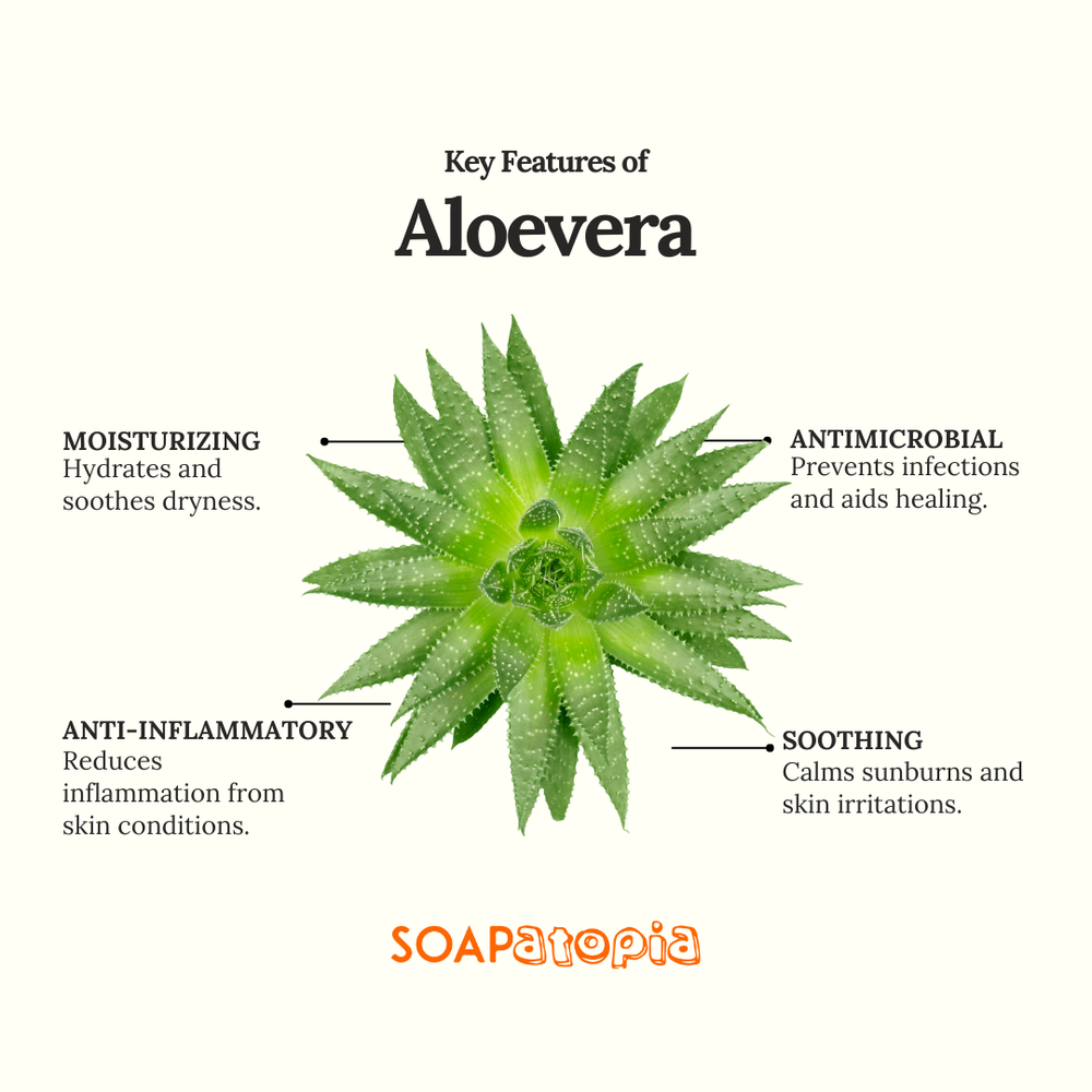 Aloevera Powder