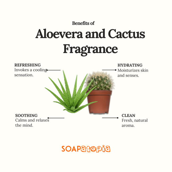 Aloe Vera and Cactus Fragrance