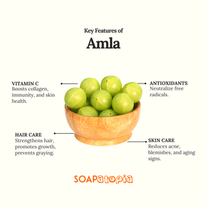 Amla Powder