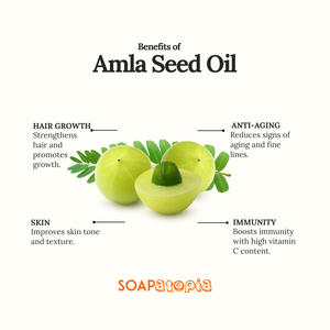 Amla Seed Oil