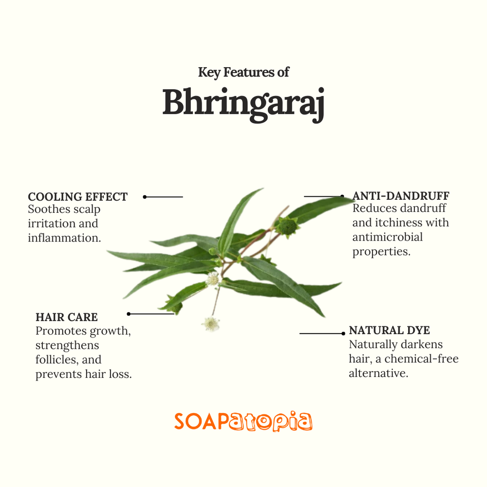 Bhringaraj Powder