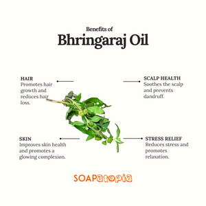 Bhringaraj Oil