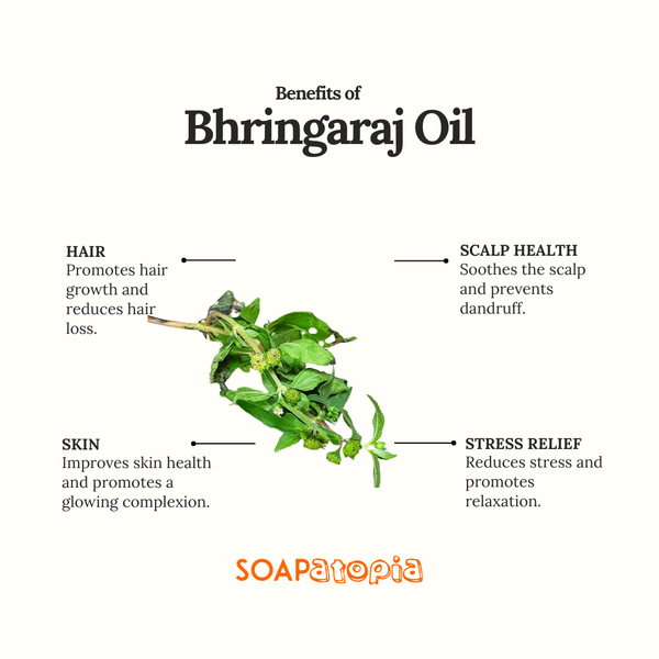 Bhringaraj Oil
