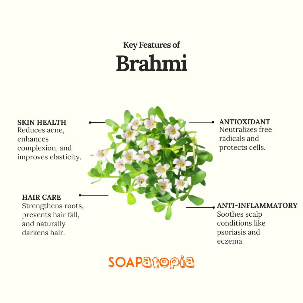 Brahmi Powder