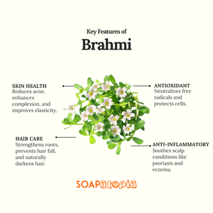 Brahmi Powder
