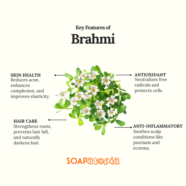 Brahmi Powder