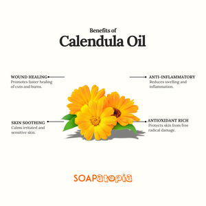 Calendula Essential Oil