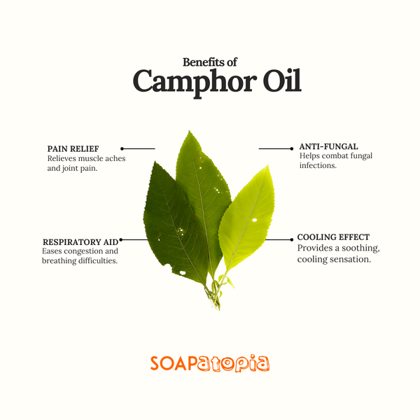Camphor Essential Oil