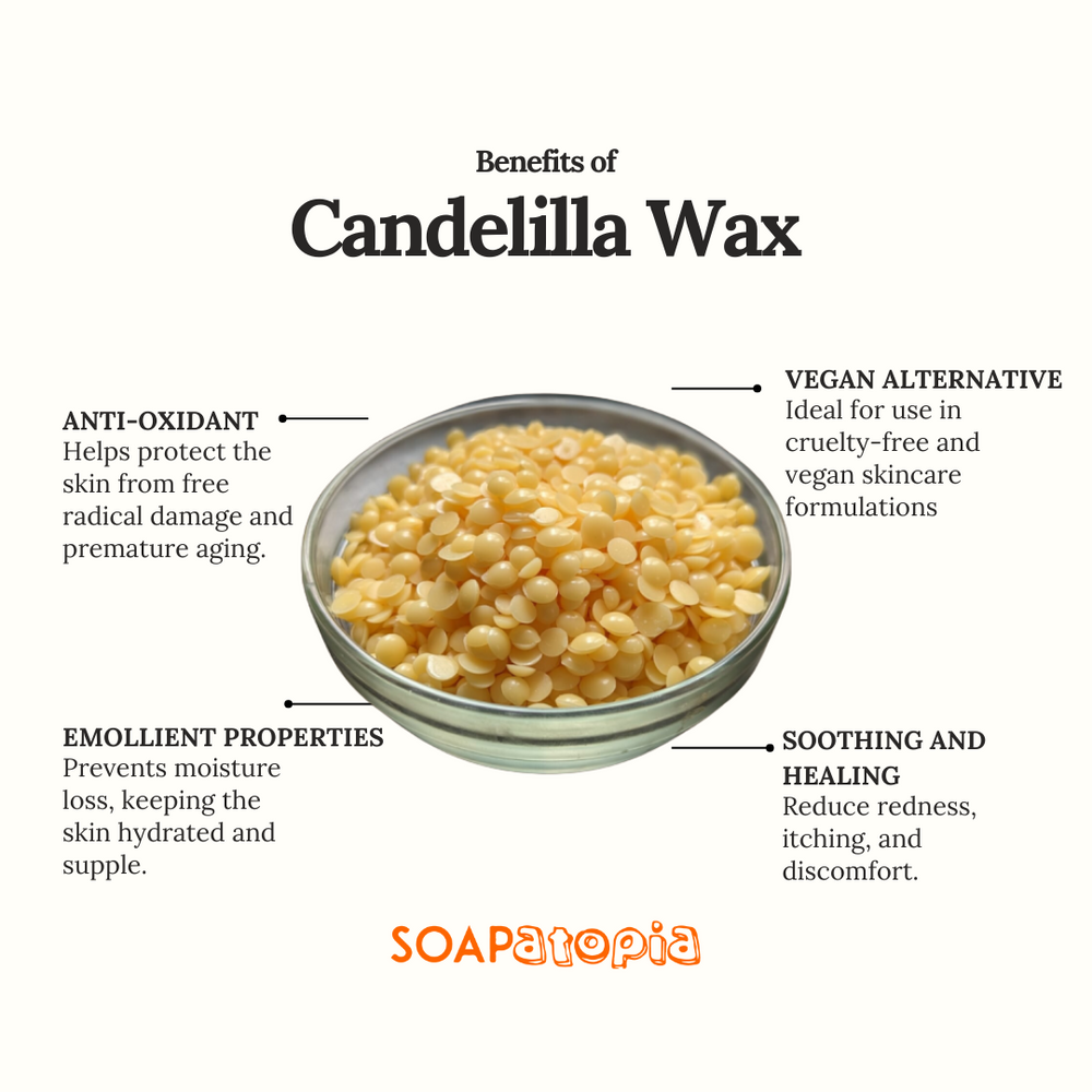 Candelilla Wax