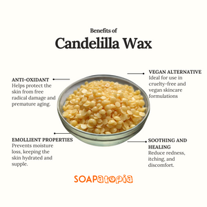 Candelilla Wax