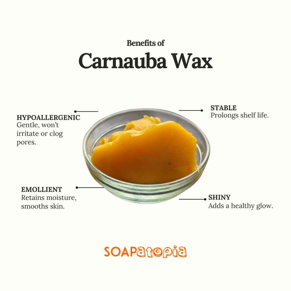 Carnauba Wax