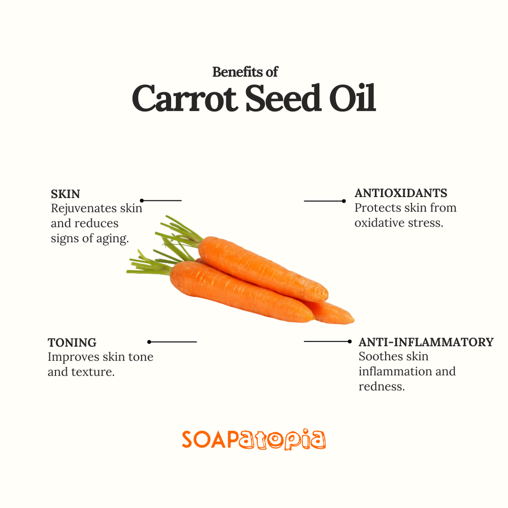 Carrot Seed Oil