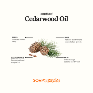 Cedarwood Essential Oil