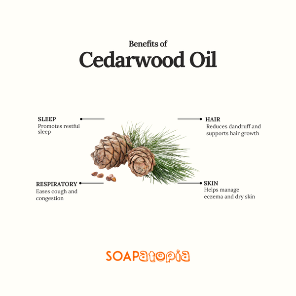 Cedarwood Essential Oil