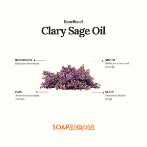 Clary Sage Essential Oil