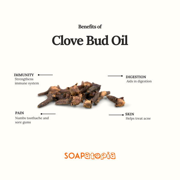 Clove Bud Essential Oil