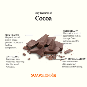 Cocoa Powder