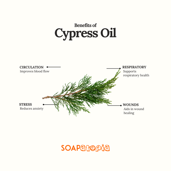 Cypress Essential Oil