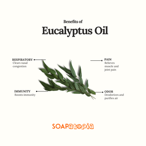 Eucalyptus Essential Oil