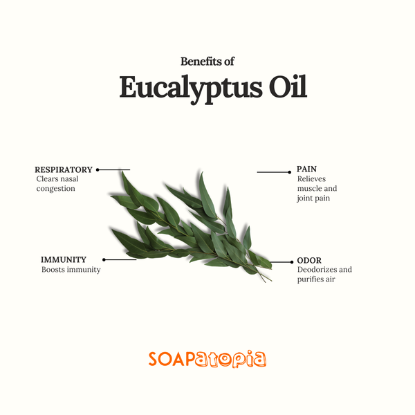 Eucalyptus Essential Oil