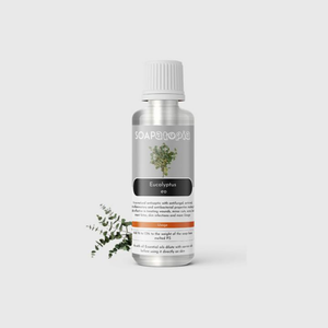 Eucalyptus Essential Oil
