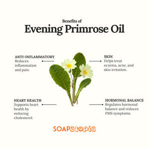 Evening Primerose