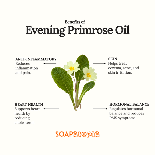 Evening Primerose