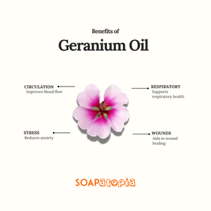 Geranium Essential Oil