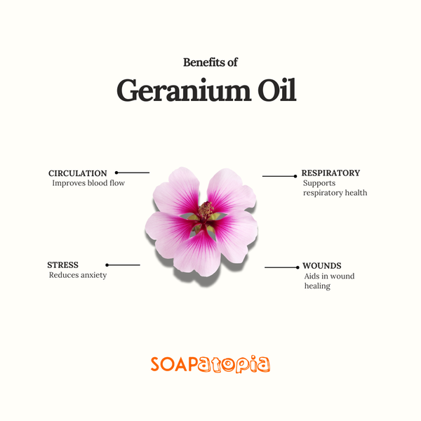 Geranium Essential Oil