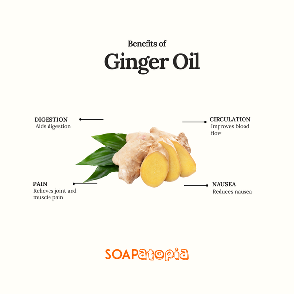 Ginger Essential Oil