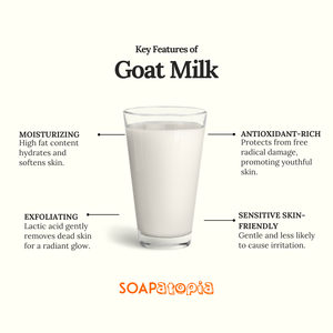 Goat Milk Powder
