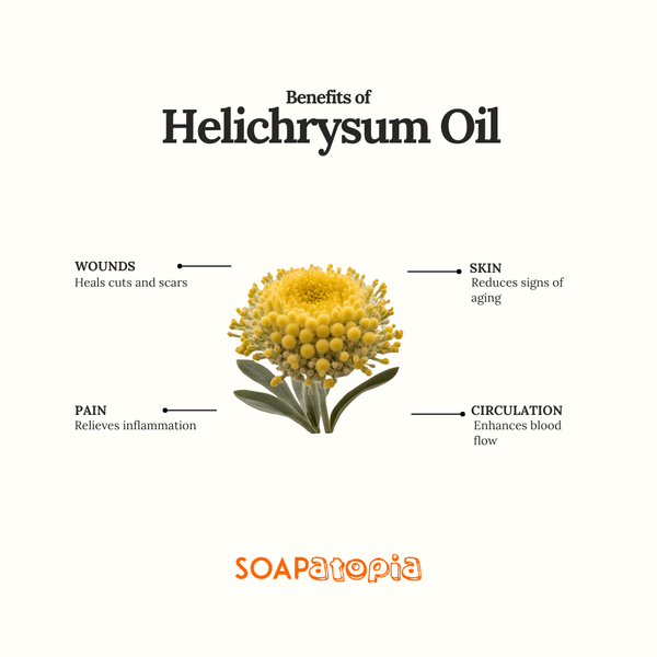 Helichrysum Essential Oil