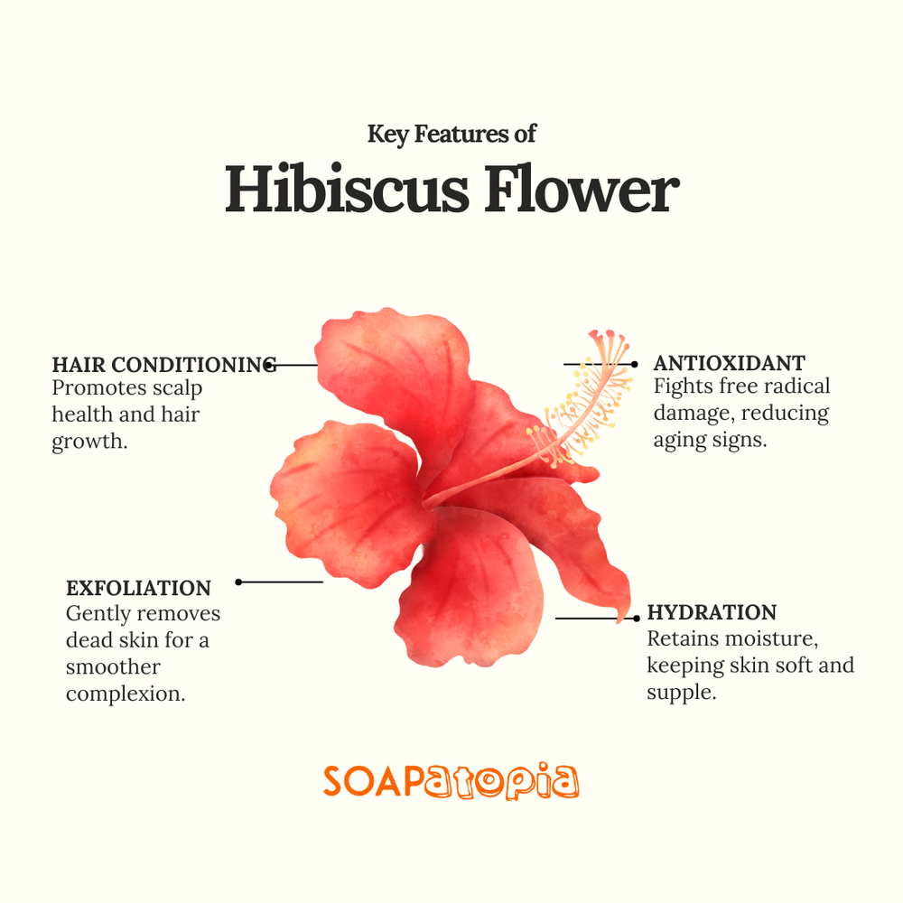 Hibiscus Flower Powder