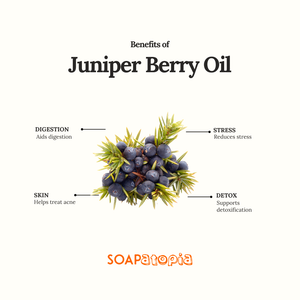 Juniper Berry Essential Oil