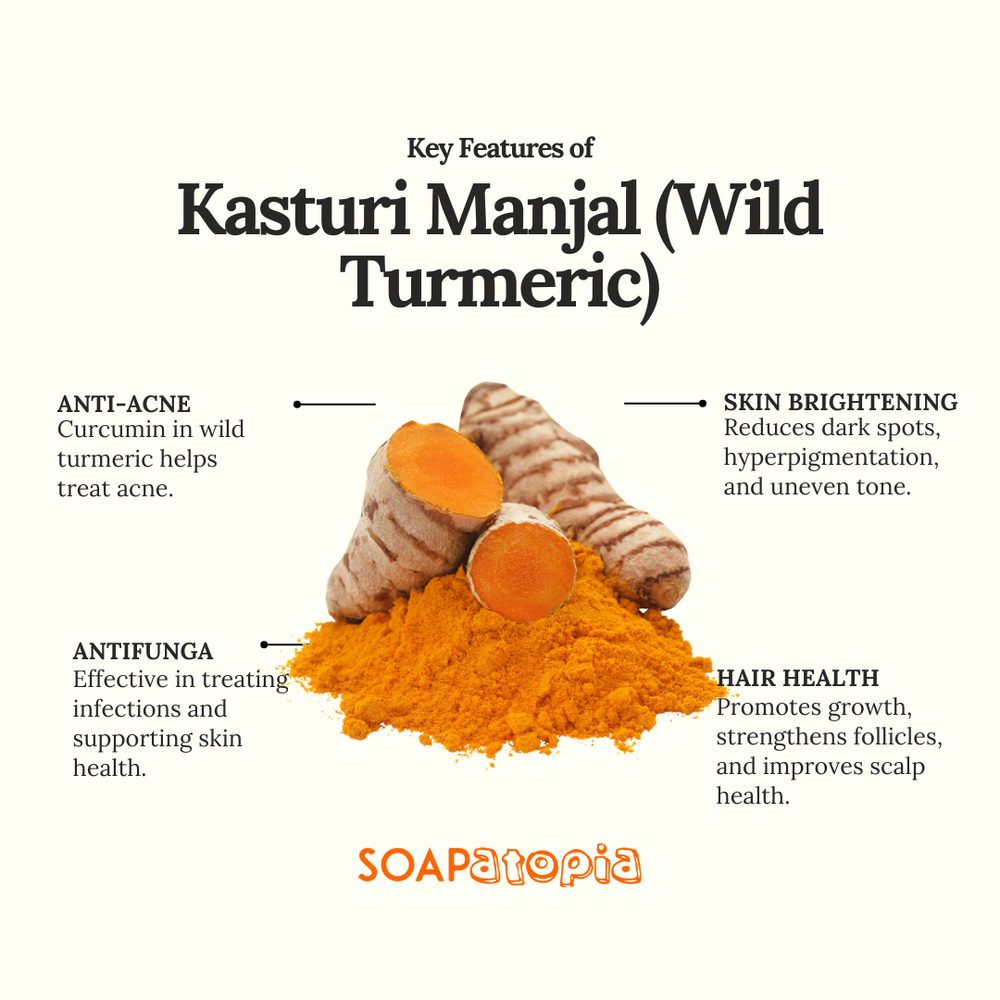 Kasturi Manjal (Wild Turmeric) Powder