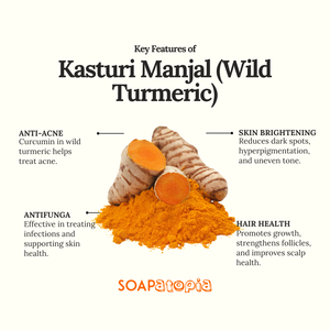 Kasturi Manjal (Wild Turmeric) Powder
