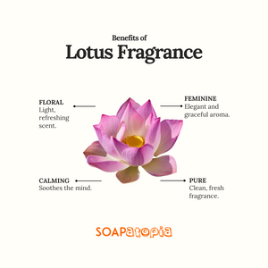Lotus Fragrance