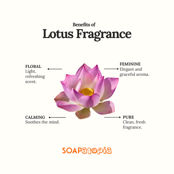 Lotus Fragrance