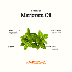 Marjoram Essential Oil