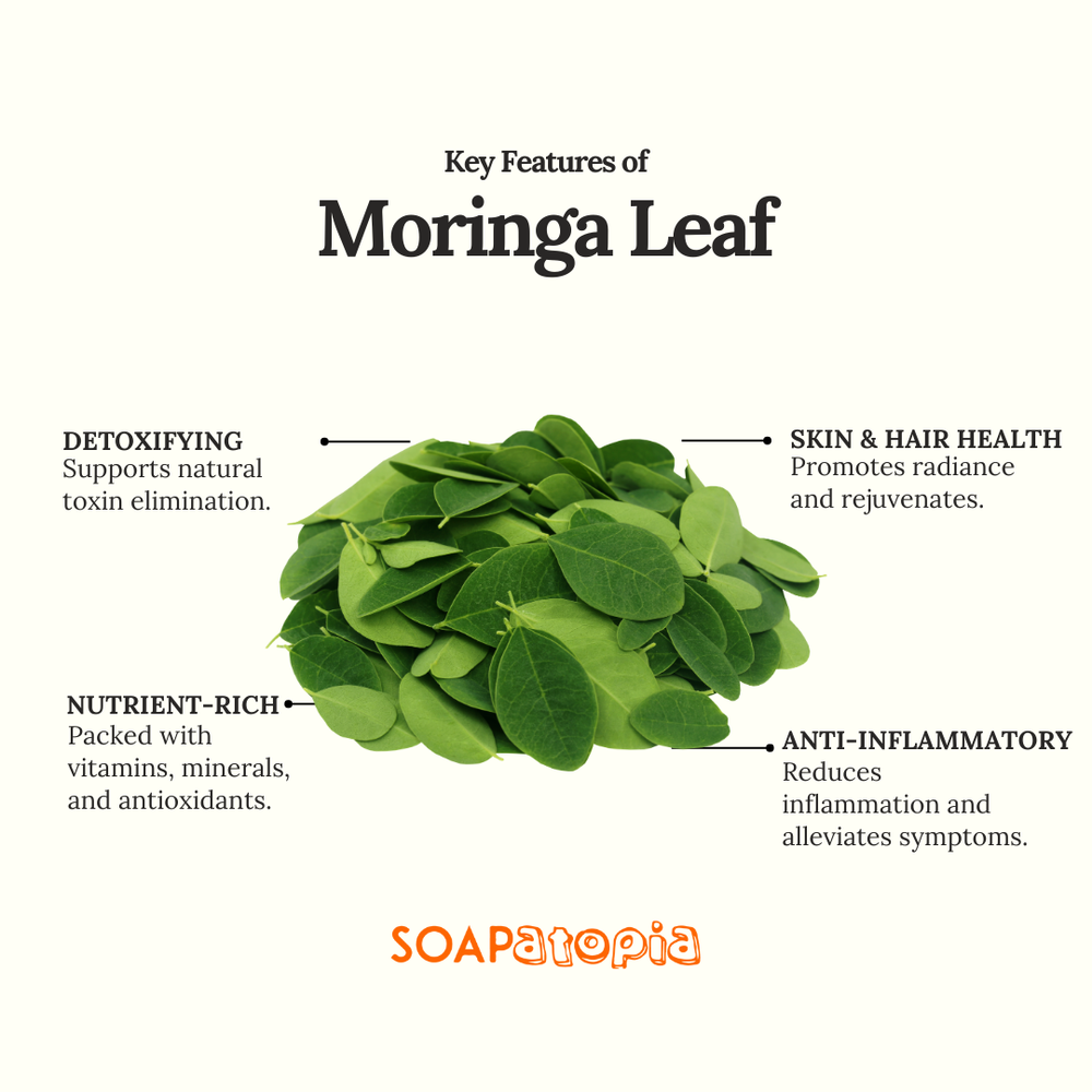 Moringa Leaf Powder