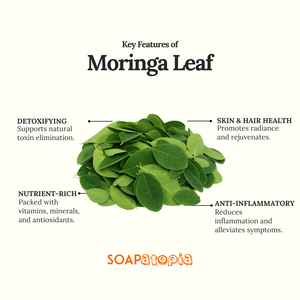 Moringa Leaf Powder