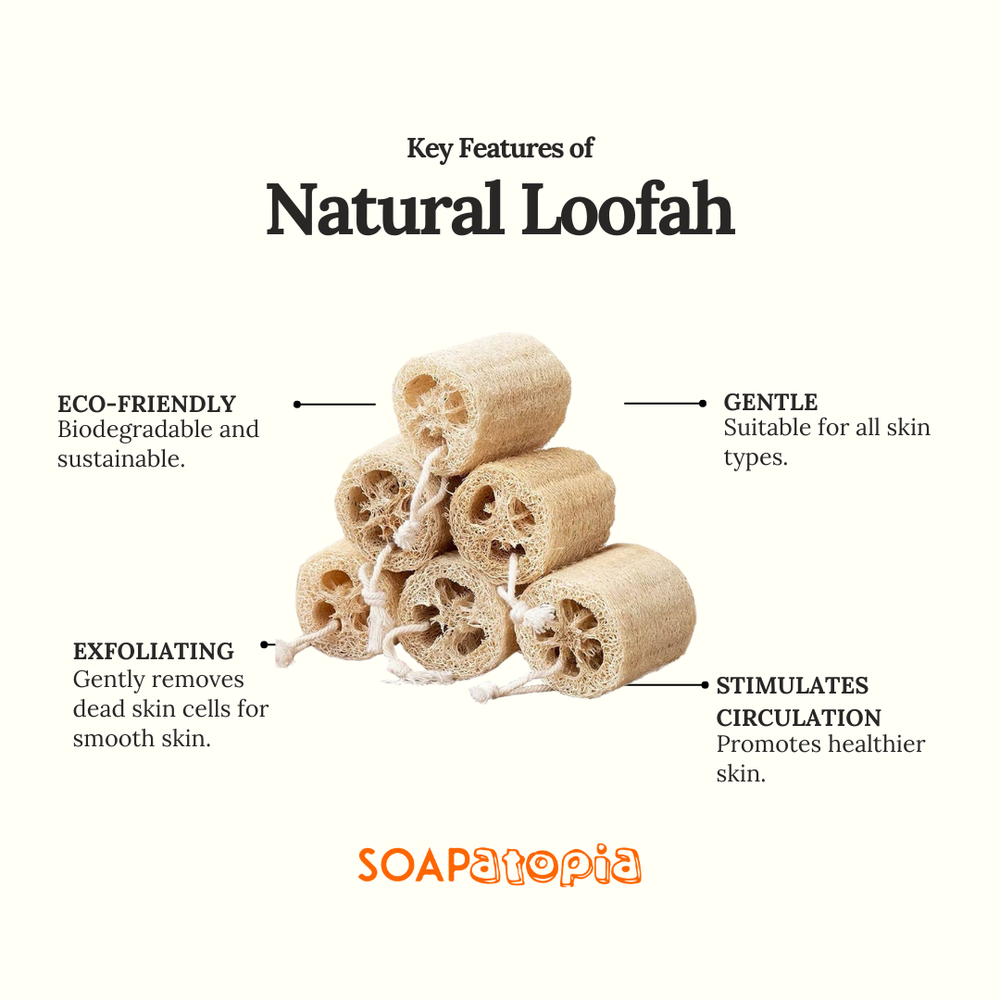 Natural Loofah (5-7 inches long)