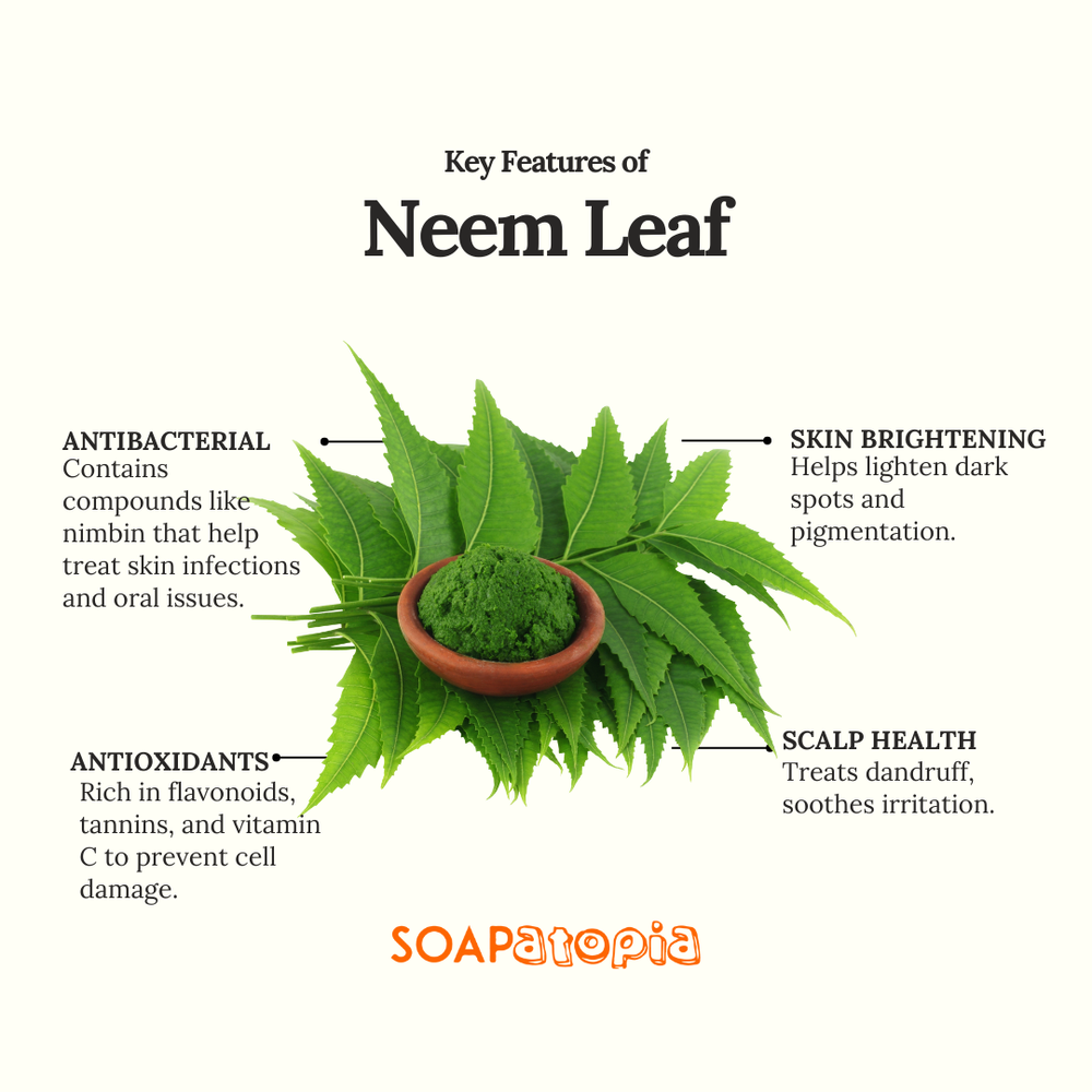 Neem Leaf Powder