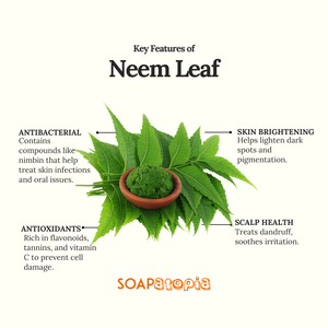 Neem Leaf Powder