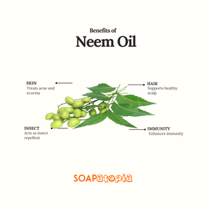 Neem Essential Oil