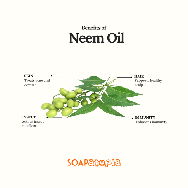 Neem Essential Oil
