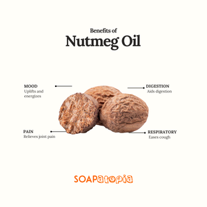 Nutmeg Essential Oil